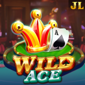 Wild Ace Lucky Play Casino
